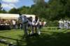 vorfuehrung3005200921_small.jpg