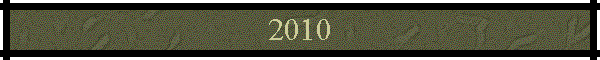 2010