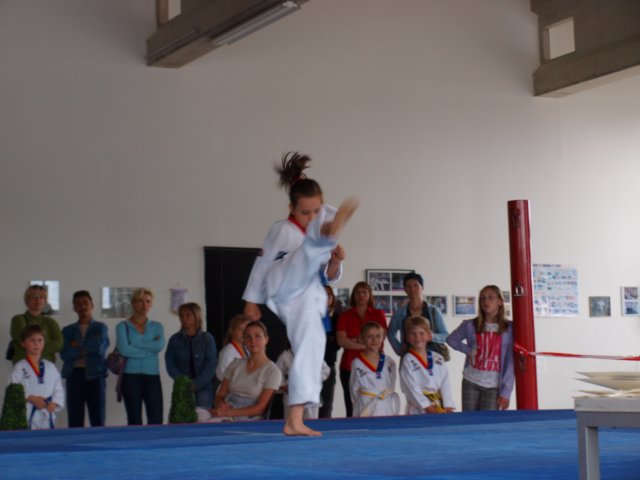 schulmeisterschaft06062009.jpg