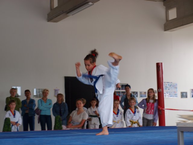 schulmeisterschaft060620091.jpg