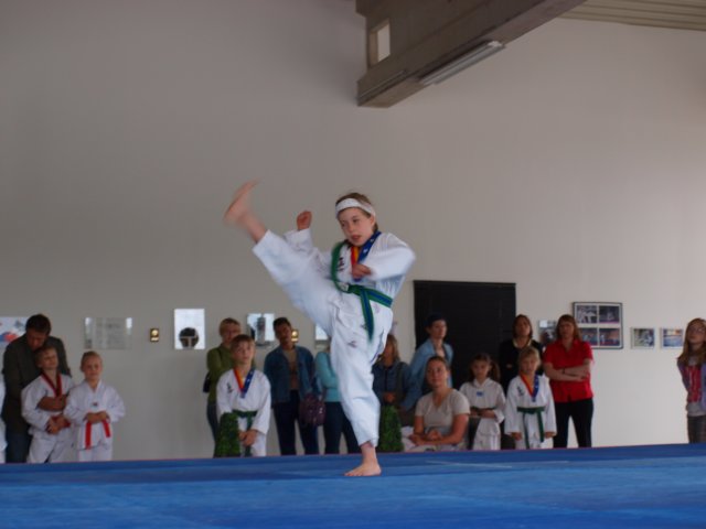 schulmeisterschaft060620094.jpg