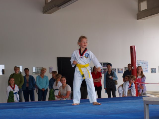 schulmeisterschaft0606200941.jpg