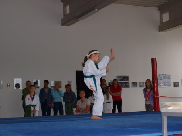 schulmeisterschaft060620095.jpg