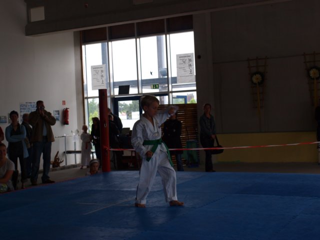 schulmeisterschaft060620097.jpg