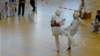 herten2703106_small.jpg