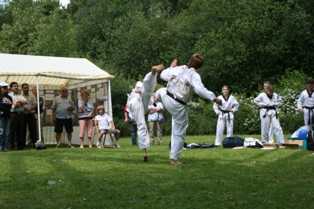 vorfuehrung3005200912.jpg