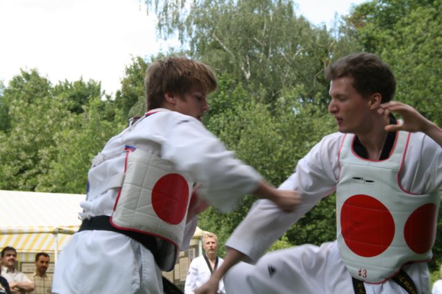 vorfuehrung3005200914.jpg