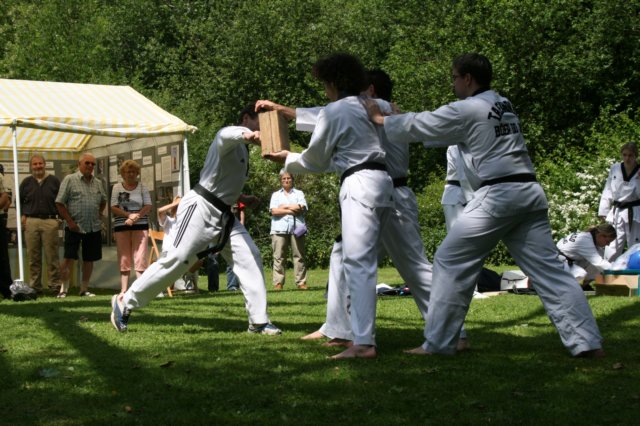 vorfuehrung3005200916.jpg